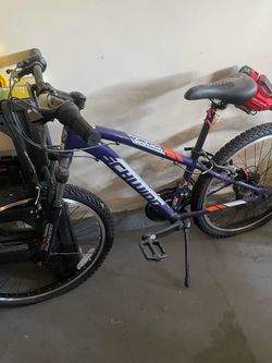 Schwinn bicycle