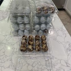 Quail Eggs 