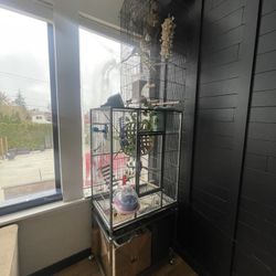 Large Bird Cage And All Accessories 