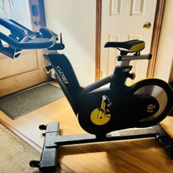 Cybex Exercise Bike 