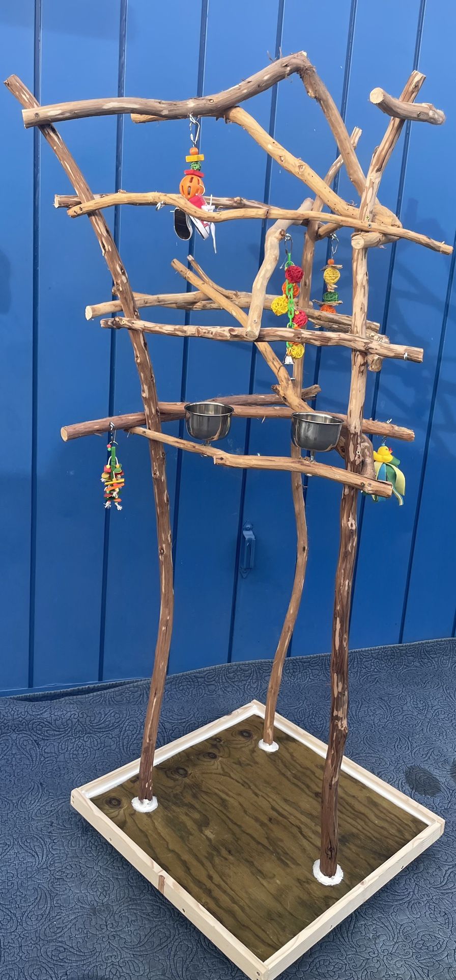 African Grey Amazon Parrot Perch Tree … The Best Socializer For Mr Feathers 👌🏾