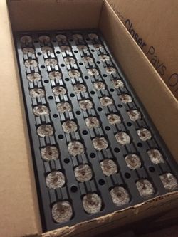 Jiffy peat pellets -case of 1000