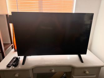 Insignia Flat Screen TV with Remote