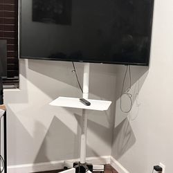 Samsung 48" TV With Rolling Stand
