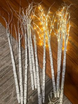 Birch tree