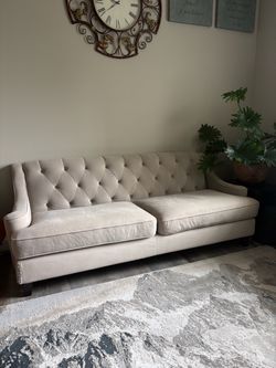 Tufted Velvet Sofa in Creamish Gray