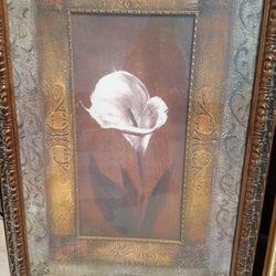 set de 5 marcos muy grandes