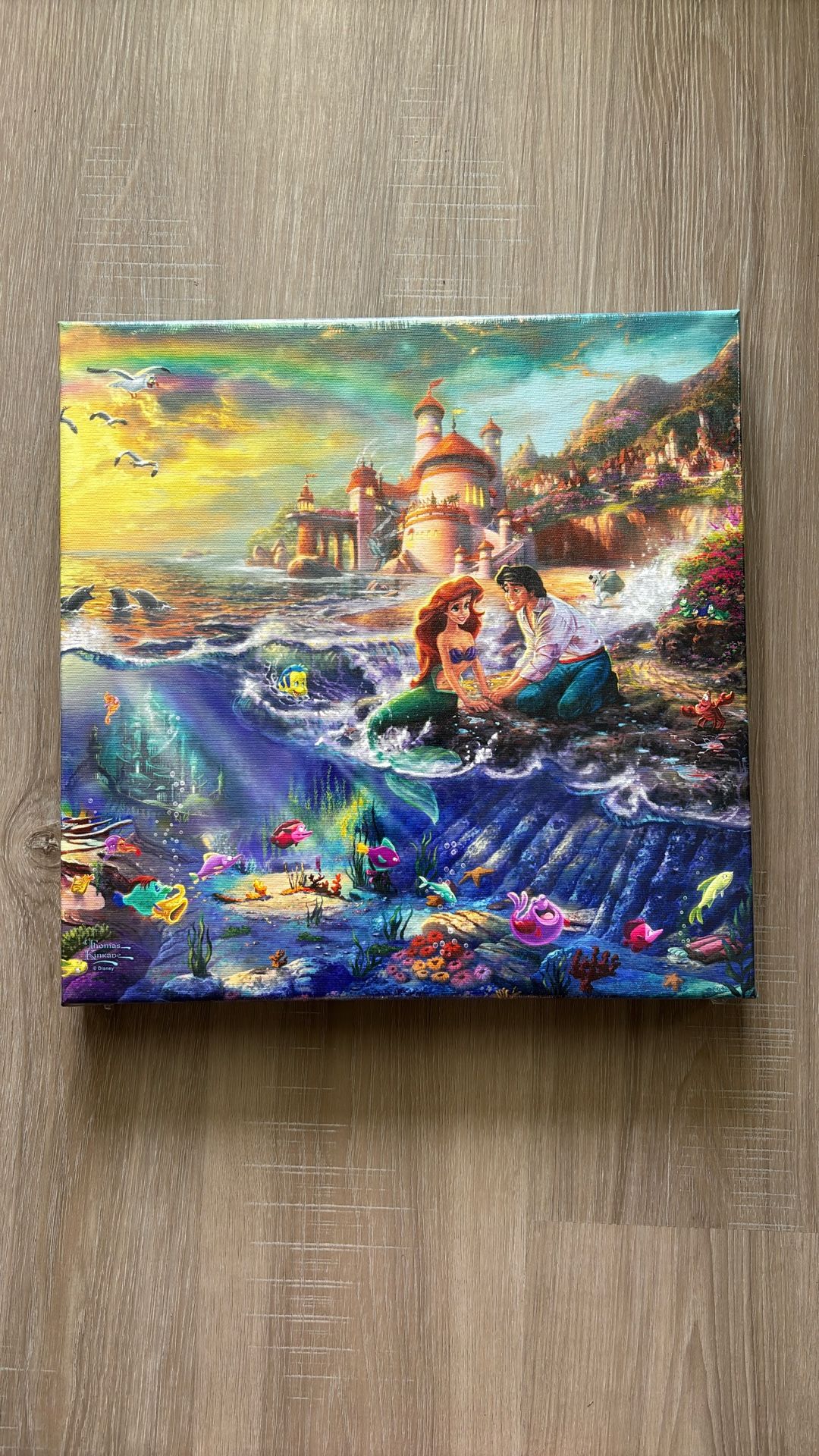 Disney Canvas 14” X14”