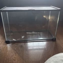 10 Gallon Fish Tank