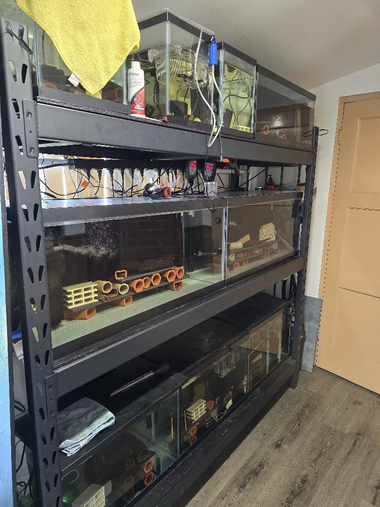 Fiahtank For Wabenmuster