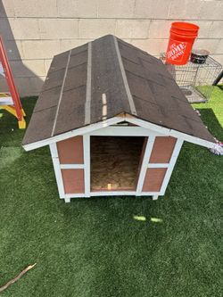 Dog house 