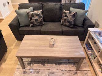 NEW Living Room Set: Couch, Rug, Coffee Table!