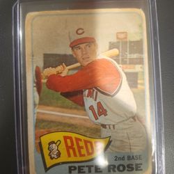 Pete Rose #207