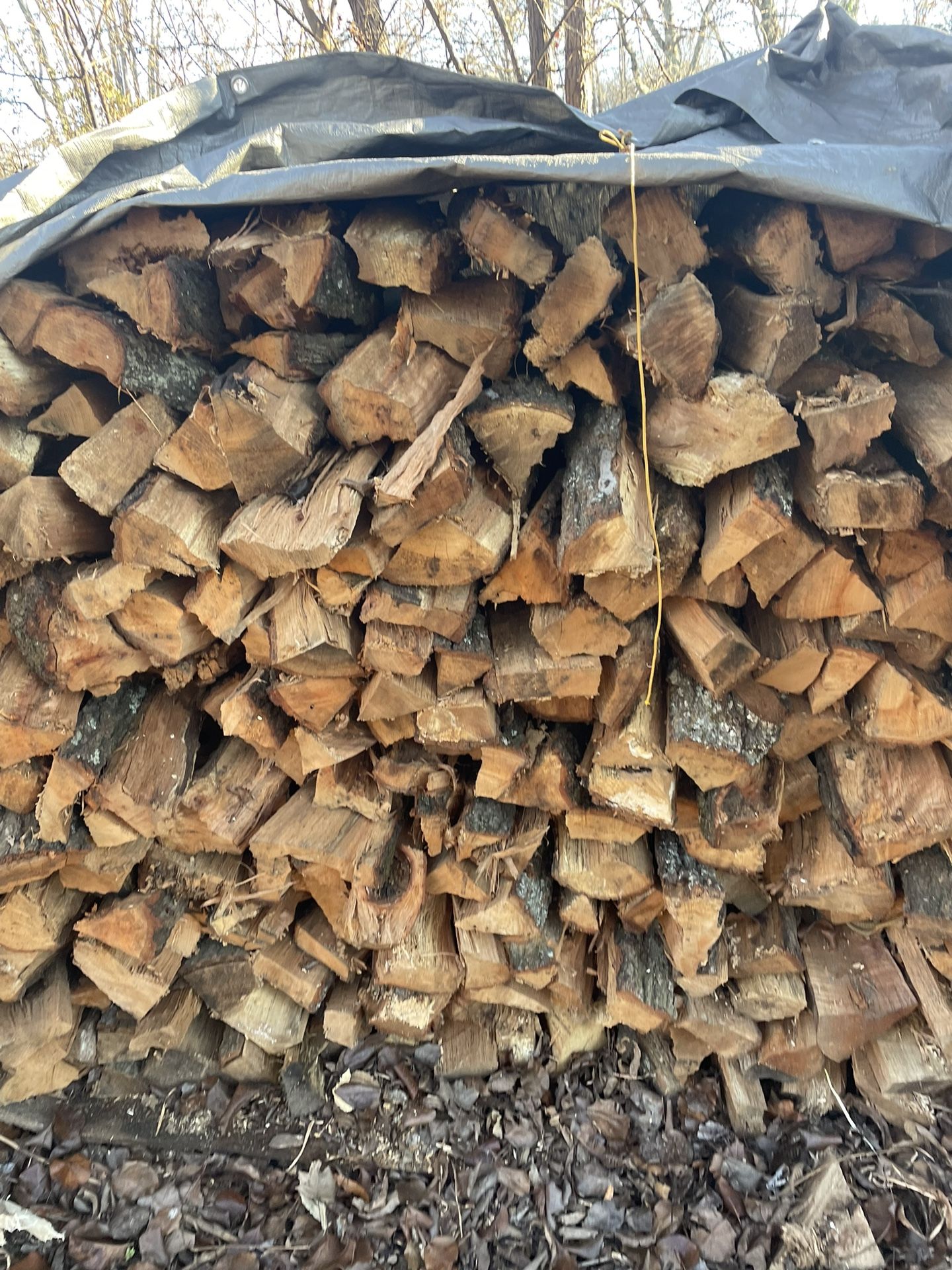 Seasoned Firewood