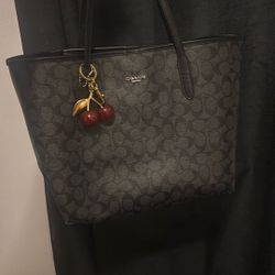 coach tote purse 