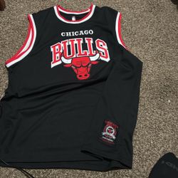 Chicago Bulls T Tang Top Jersey 