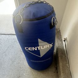 40 Pound Punching Bag with Chains
