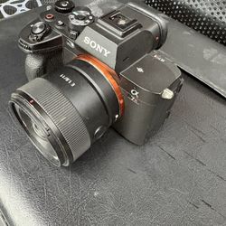 Sony A7rv