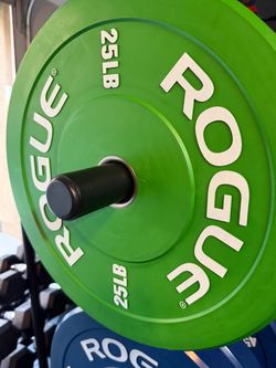 25 LbS plates  Rogue