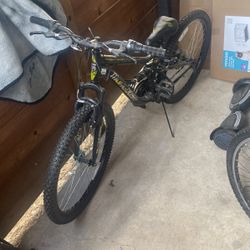 Mountain Bike