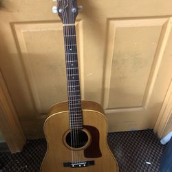 Acoustic Guitar Washburn D20