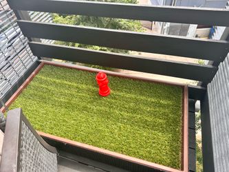 Porch Potty