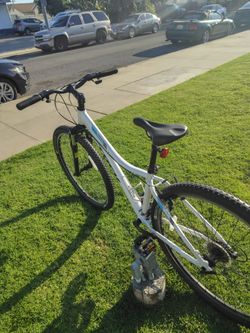 Trek MTB