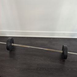 Barbell with 2 10 lb plates