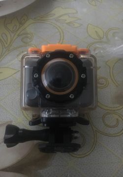 WASP ACTION 🎥 CAMERA