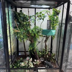 Chameleon enclosure-everything In Photo Included.