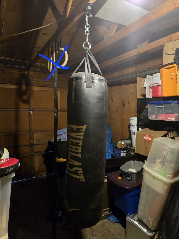 Everlast Heavy Sandbag + Gloves/pads