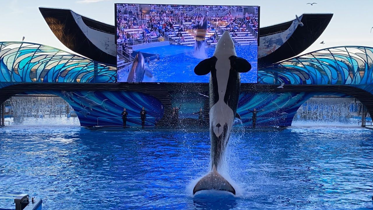 Parque Tematico De Seaworld