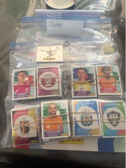 Panini World Cup Stickers