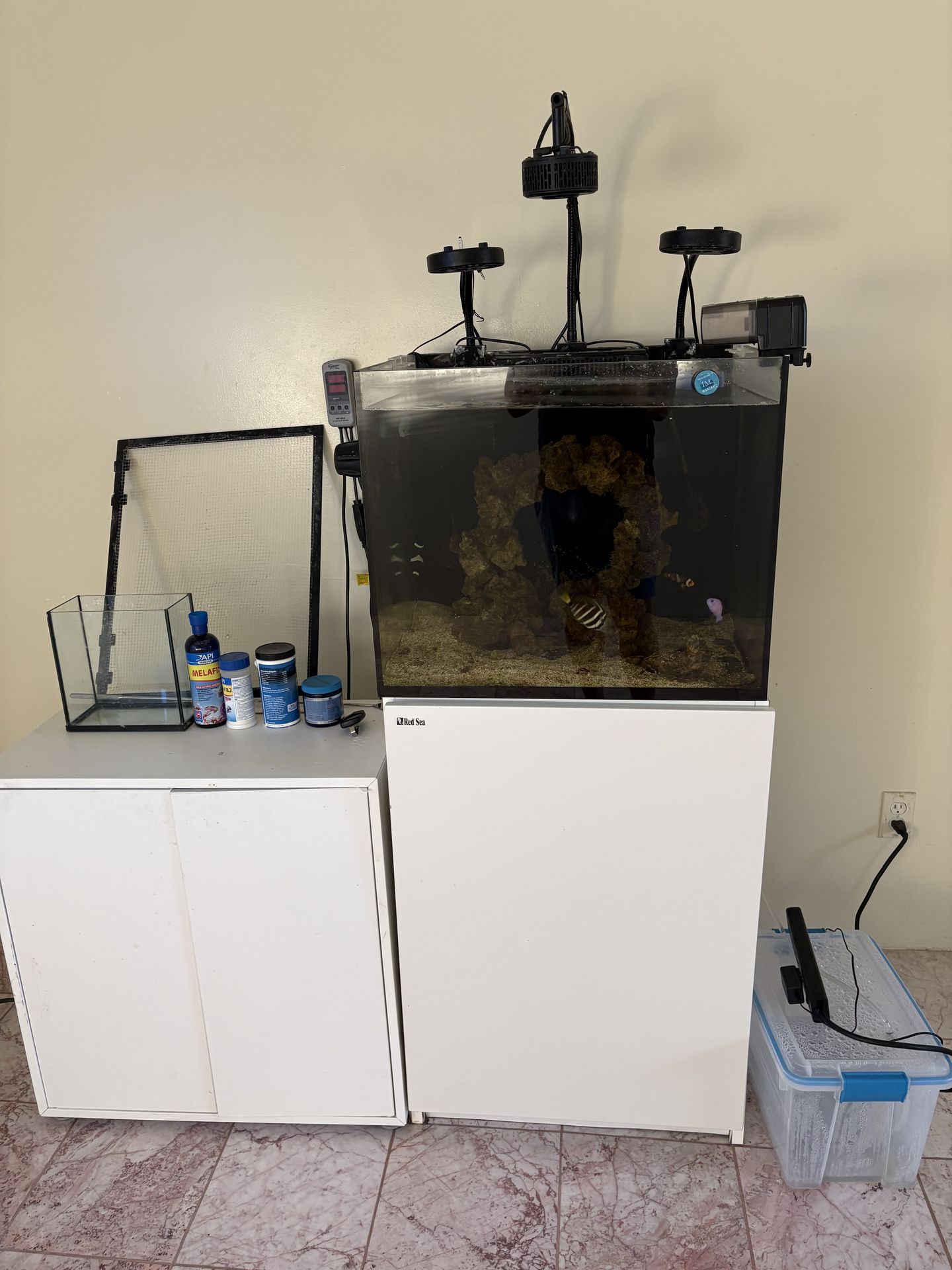 Aquarium setup for Sale in Los Angeles, CA - OfferUp