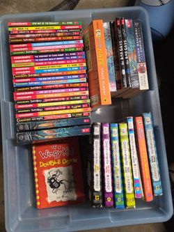 🔥 HUGE Kids Book Lot – Goosebumps, Diary of a Wimpy Kid, Big Nate + More