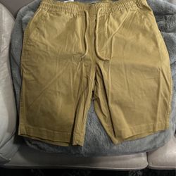 Volcom Shorts
