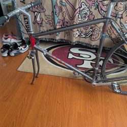 Old Trek Frame