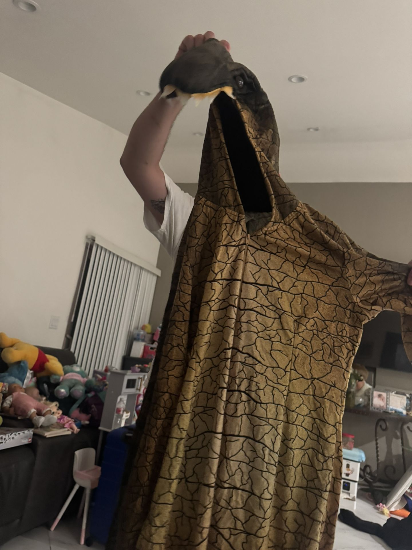 Women Dinosaur Costume 