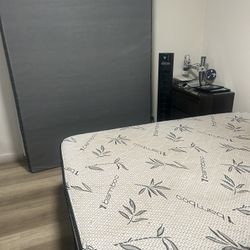 Free Queen Mattress And Boxspring