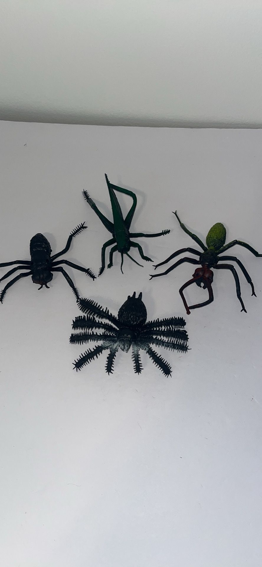 Large Insect Suction Cup Toys