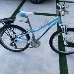 Bicycle - 24”