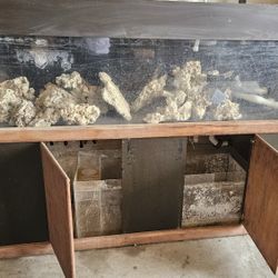 Complete Fish Tank Set