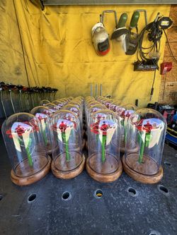 Forever Rose