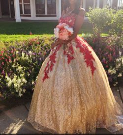 15 Quinceañera Dress