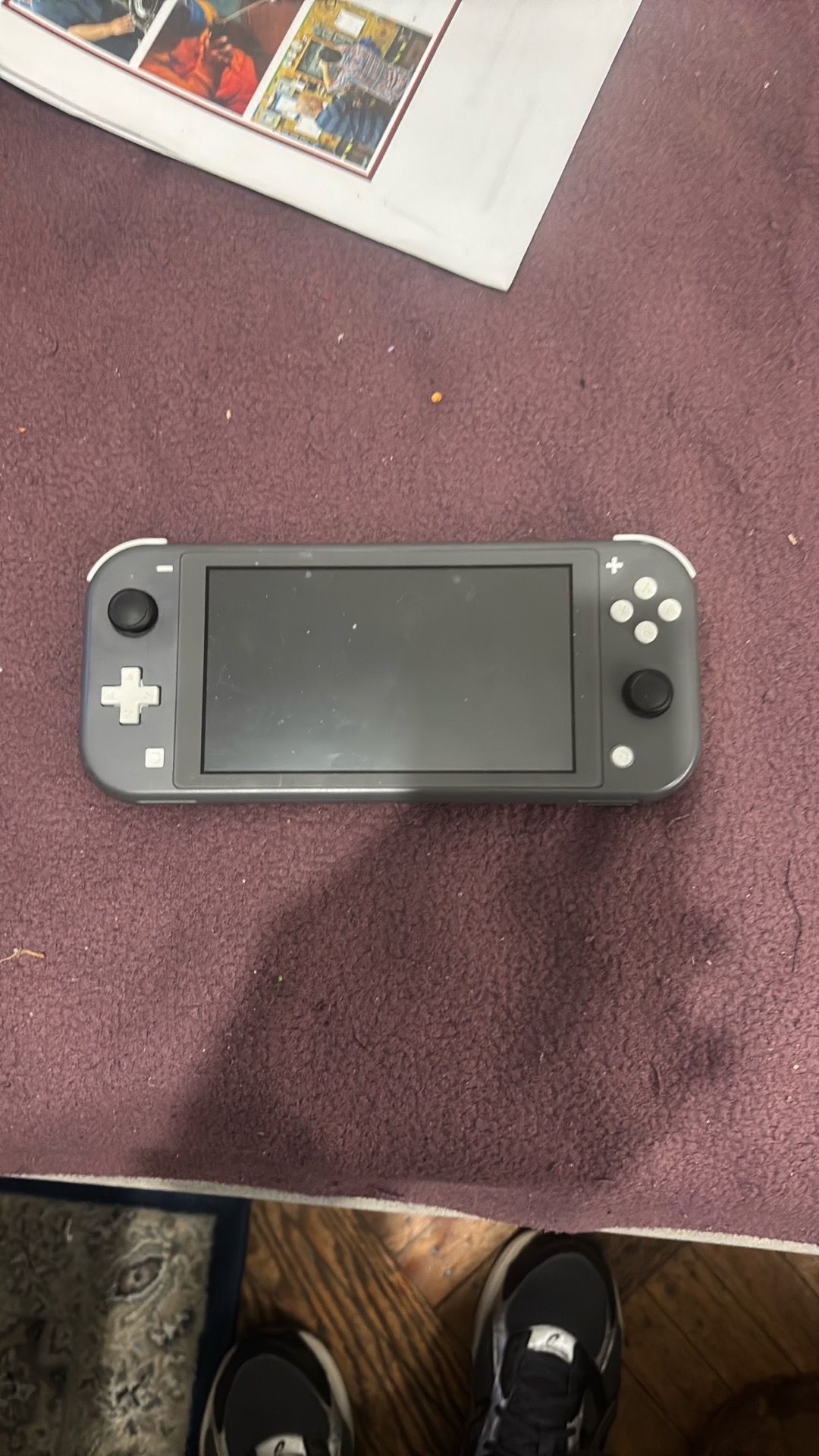 Nintendo switch lite
