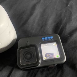 Go Pro Hero 10 Lentes Y Cargador  Y Nintendo Switch Ambos Con Cargadores  