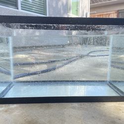 10 Gallon Fish Tank Like New 