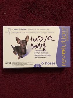 Revolution for dogs 5-10 pounds. 6 months