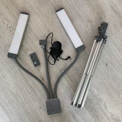 GLAMCOR MULTIMEDIA X - Light with stand 