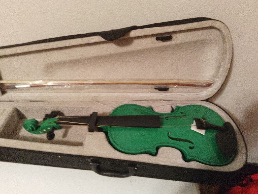 Full size 4/4 brand new violin